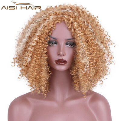 AISI AISI HAIR Afro Kinky Curly Long Hair Synthetic Wigs for Black Women Long Mixed Color High Temperature
AISI AISI HAIR Afro Kinky Curly Long Hair Synthetic Wigs for Black Women Long Mixed Color High Temperature
