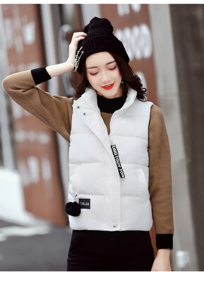 2017 new feather cotton vest female autumn and winter Korean version of the short section of the students cotton jacket women's co
2017 new feather cotton vest female autumn and winter Korean version of the short section of the students cotton jacket women's co