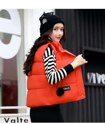 2017 new feather cotton vest female autumn and winter Korean version of the short section of the students cotton jacket women's co
2017 new feather cotton vest female autumn and winter Korean version of the short section of the students cotton jacket women's co