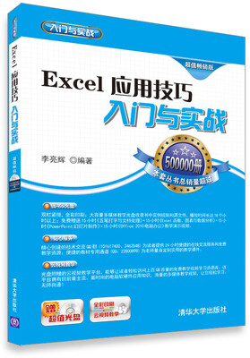 Excel应用技巧入门与实战(超值畅销版)(附光盘)