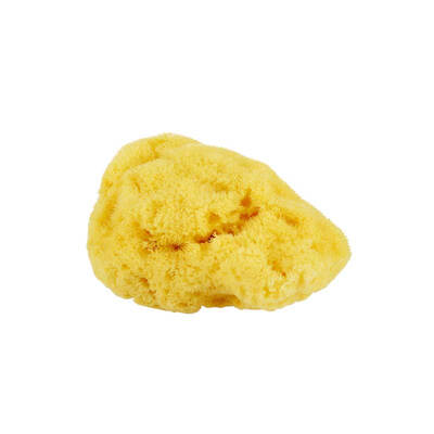STENDERS natural sponge L080 (Mild natural cleaning imported Latvia imports
STENDERS natural sponge L080 (Mild natural cleaning imported Latvia imports