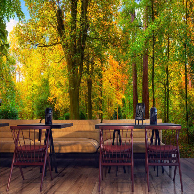 3D photo wallpaper Park woods 3D mural landscape background wall living room coffee house bedroom bathroom wallpaper mural
3D photo wallpaper Park woods 3D mural landscape background wall living room coffee house bedroom bathroom wallpaper mural