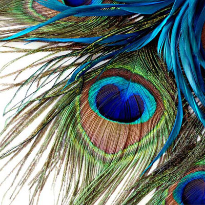 Custom 3D Large Mural Bedroom Living Room Sofa TV Background Wallpaper Printing Blue Peacock Feathers Non-woven Photo Wallpaper
Custom 3D Large Mural Bedroom Living Room Sofa TV Background Wallpaper Printing Blue Peacock Feathers Non-woven Photo Wallpaper