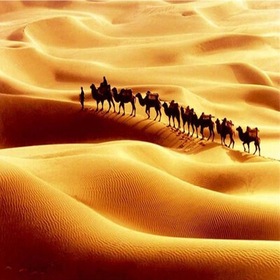 Custom 3D Photo Mural Wallpaper Walking On the Desert Camel Wall Paper High Quality Home Decor For Living Room TV Sofa Backdrop
Custom 3D Photo Mural Wallpaper Walking On the Desert Camel Wall Paper High Quality Home Decor For Living Room TV Sofa Backdrop