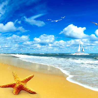 Пользовательские Beach Scenery Starfish Blue Sky 3D фото фона Компьютер печатной гостиной телевизор фотографии фоном росписи обои
Пользовательские Beach Scenery Starfish Blue Sky 3D фото фона Компьютер печатной гостиной телевизор фотографии фоном росписи обои