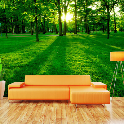 Custom 3D Photo Wallpaper Mural Green Forest Sunlight Living Room Sofa TV Background Non-woven Wall Painting Wallpaper Modern
Custom 3D Photo Wallpaper Mural Green Forest Sunlight Living Room Sofa TV Background Non-woven Wall Painting Wallpaper Modern