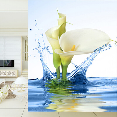 Customized 3D Wall Mural Wallpapers Landscape Daffodils Into The Water Living Room Entrance Modern Minimalist Photo Wallpaper
Customized 3D Wall Mural Wallpapers Landscape Daffodils Into The Water Living Room Entrance Modern Minimalist Photo Wallpaper