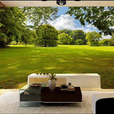 Custom photo wallpaper mural natural grassland forest Sky TV setting wall of the sitting room sofa backdrop wallpaper mural
Custom photo wallpaper mural natural grassland forest Sky TV setting wall of the sitting room sofa backdrop wallpaper mural