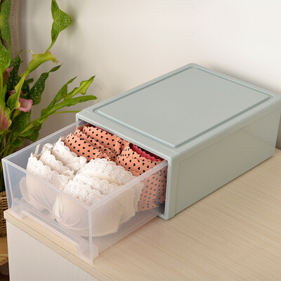 Herbs Park Plastic Underwear Storage Box Drawer Storage Cabinet Locker Wardrobe Storage Box Space Blue
Herbs Park Plastic Underwear Storage Box Drawer Storage Cabinet Locker Wardrobe Storage Box Space Blue