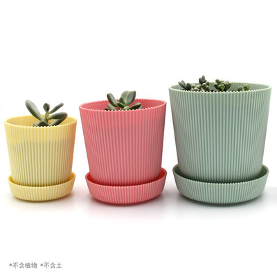 Looking forward to a set of 6 color plastic resin fleshy flower pot with tray square round planting pot fleshy mini planting green plant pot 6570mm
Looking forward to a set of 6 color plastic resin fleshy flower pot with tray square round planting pot fleshy mini planting green plant pot 6570mm