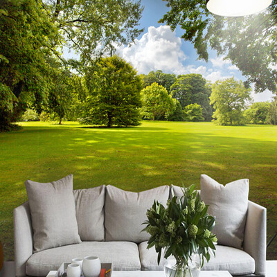 Photo Wallpaper 3D Stereo Green Tree Lawn Sunshine Nature Landscape Mural Living Room Bedroom Backdrop Wall 3D Mural Wall Papers
Photo Wallpaper 3D Stereo Green Tree Lawn Sunshine Nature Landscape Mural Living Room Bedroom Backdrop Wall 3D Mural Wall Papers