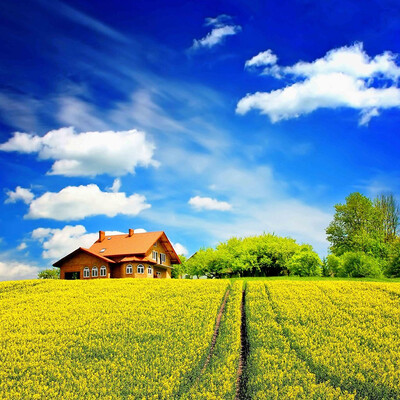 Countryside Golden Paddy Sunny Day Landscape 3D Wall Mural Custom Photo Wallpaper Scenery For Walls Living Room Sofa Wall Papers
Countryside Golden Paddy Sunny Day Landscape 3D Wall Mural Custom Photo Wallpaper Scenery For Walls Living Room Sofa Wall Papers
