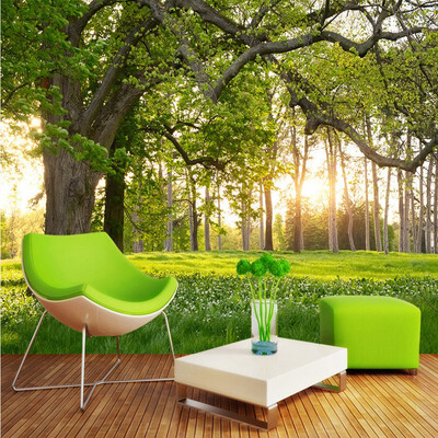 Custom 3d mural Forest Forest Park 3D landscape background wall painting living room bathroom coffee house wallpaper mural
Custom 3d mural Forest Forest Park 3D landscape background wall painting living room bathroom coffee house wallpaper mural