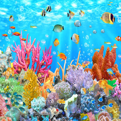 3D Wallpaper Custom Photo Non-Woven Mural 3D Fish Coral Underwater World Wall Painting Living Room Kids' Room Wall Paper Fresco
3D Wallpaper Custom Photo Non-Woven Mural 3D Fish Coral Underwater World Wall Painting Living Room Kids' Room Wall Paper Fresco