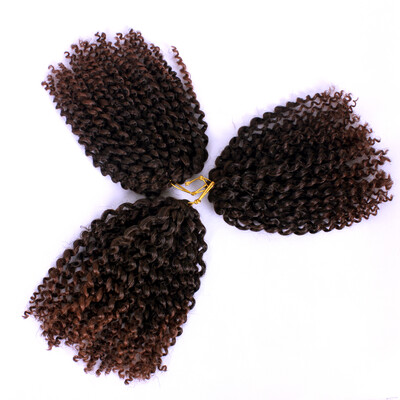 Marleybob Kinky Curl Crochet Braids 3pcspack Synthetic Wigs Ombre Afro Kinky Twist Crochet Hair Braiding Low Temperature Fiber
Marleybob Kinky Curl Crochet Braids 3pcspack Synthetic Wigs Ombre Afro Kinky Twist Crochet Hair Braiding Low Temperature Fiber
