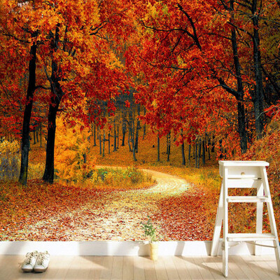 Red Maple Forest Path Photo Mural Wallpaper Modern Beautiful Living Room Bedroom Backdrop Wall Murals Home Decor Papel De Parede
Red Maple Forest Path Photo Mural Wallpaper Modern Beautiful Living Room Bedroom Backdrop Wall Murals Home Decor Papel De Parede