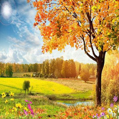Custom 3D Wall Mural Wallpaper Landscape Nature Golden Autumn Maple Scenery Living Room Sofa Background Embossed Wall Paper
Custom 3D Wall Mural Wallpaper Landscape Nature Golden Autumn Maple Scenery Living Room Sofa Background Embossed Wall Paper