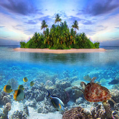 Custom 3D Photo Mural Wallpaper Seaside Scenery Non-woven Living Room TV Background Decor Modern Wall Painting Papel De Parede
Custom 3D Photo Mural Wallpaper Seaside Scenery Non-woven Living Room TV Background Decor Modern Wall Painting Papel De Parede
