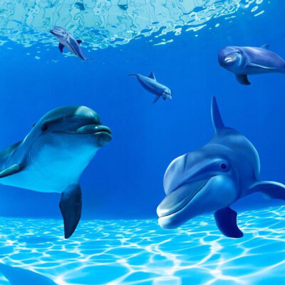 Custom Personality Ceiling Wallpaper Undersea Dolphin Wall Mural Wall Paper Papel De Parede Bedroom Sofa Backdrop Contact Paper
Custom Personality Ceiling Wallpaper Undersea Dolphin Wall Mural Wall Paper Papel De Parede Bedroom Sofa Backdrop Contact Paper