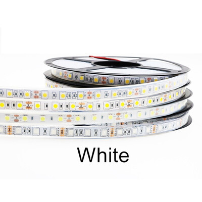 IP67 IP68 Waterproof LED Strip 5050 DC12V 60 LEDM High Quality Silicon Tube Outdoors Under Water LED Strip
IP67 IP68 Waterproof LED Strip 5050 DC12V 60 LEDM High Quality Silicon Tube Outdoors Under Water LED Strip