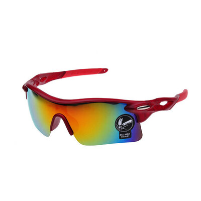 Солнцезащитные очки UV400 Outdoor Sports Eyewear Высокое качество восхождения велосипед Солнцезащитные очки Горные очки gafas de sol
Солнцезащитные очки UV400 Outdoor Sports Eyewear Высокое качество восхождения велосипед Солнцезащитные очки Горные очки gafas de sol