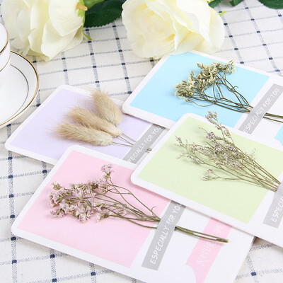 JDKJ Creative Dried Flower Birthday Card Postcard Blessing Card Valentines Day Gift1 Random Style
JDKJ Creative Dried Flower Birthday Card Postcard Blessing Card Valentines Day Gift1 Random Style
