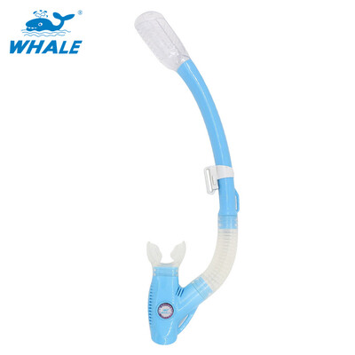 Whale Brand горячая распродажа профессиональное снаряжение для подводного плавания с подводным плаванием
Whale Brand горячая распродажа профессиональное снаряжение для подводного плавания с подводным плаванием