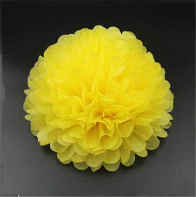 25cm Craft Paper Tissue Ceiling Decor Wall Decor Hanging Paper poms Flower Ball Wedding Party Outdoor Decoration Flower
25cm Craft Paper Tissue Ceiling Decor Wall Decor Hanging Paper poms Flower Ball Wedding Party Outdoor Decoration Flower