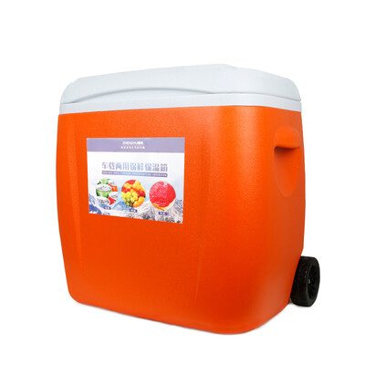 casting car home trolley incubator freezer self-driving equipment hot&cold dual-use cold storage fresh fishing picnic 38L ZZ
casting car home trolley incubator freezer self-driving equipment hot&cold dual-use cold storage fresh fishing picnic 38L ZZ