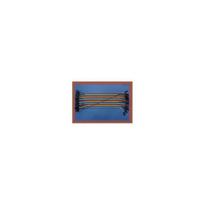80pcs 2 Lot 40pcs Dupont wire cable Line 1p-1p pin connector 20cm 2.54mm electronic components
80pcs 2 Lot 40pcs Dupont wire cable Line 1p-1p pin connector 20cm 2.54mm electronic components