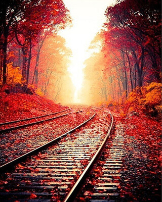 Frameless Autumn Landscape Oil Painting Diy Paint by Numbers for Adults - Railway Scenery
Frameless Autumn Landscape Oil Painting Diy Paint by Numbers for Adults - Railway Scenery