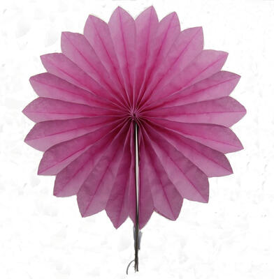 FANLUS Ecape Party Paper Fans Decoration Colored Tissue Paper Fans for Fiesta WeddingBirthday Carnibal Kids Hanging Decoraitons
FANLUS Ecape Party Paper Fans Decoration Colored Tissue Paper Fans for Fiesta WeddingBirthday Carnibal Kids Hanging Decoraitons