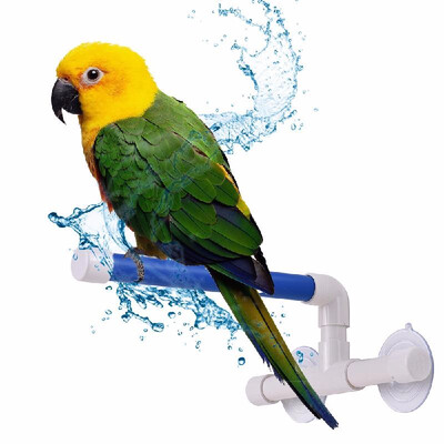 Bird Stand Supplies Bird Shower Bath Perch Folding Stand Rack Platform Toys for Small Medium Large Size Parrot Funny T0E2L2L5
Bird Stand Supplies Bird Shower Bath Perch Folding Stand Rack Platform Toys for Small Medium Large Size Parrot Funny T0E2L2L5