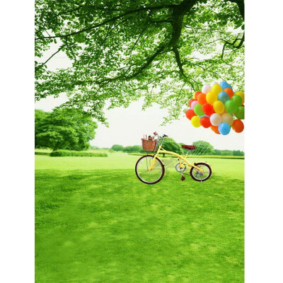 Green Space Bicycle Photo Backdrop 57FT Vinyl Fabric Cloth Digital Printing Photo Background s-593
Green Space Bicycle Photo Backdrop 57FT Vinyl Fabric Cloth Digital Printing Photo Background s-593
