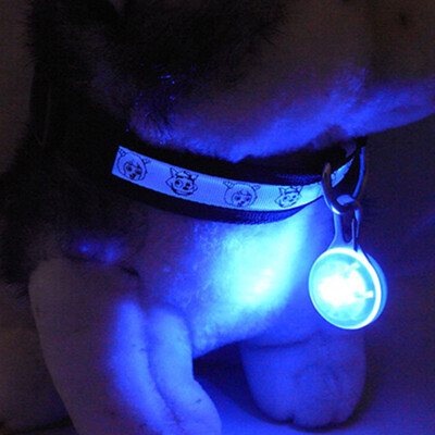 Bright Dog Pet LED Night Safety Flash Light for Collar Push Button Switch Flashing Pet Dog Collar LED Glowing Collar Accessorie
Bright Dog Pet LED Night Safety Flash Light for Collar Push Button Switch Flashing Pet Dog Collar LED Glowing Collar Accessorie