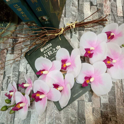 2pcs 11Heads large Orchid Artificial Flowers Moth Butterfly Orchids Home Wedding Decoration fleurs artificielles deco anniversaire
2pcs 11Heads large Orchid Artificial Flowers Moth Butterfly Orchids Home Wedding Decoration fleurs artificielles deco anniversaire