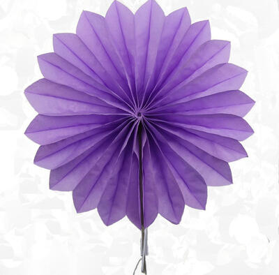 FANLUS Ecape Party Paper Fans Decoration Colored Tissue Paper Fans for Fiesta WeddingBirthday Carnibal Kids Hanging Decoraitons
FANLUS Ecape Party Paper Fans Decoration Colored Tissue Paper Fans for Fiesta WeddingBirthday Carnibal Kids Hanging Decoraitons