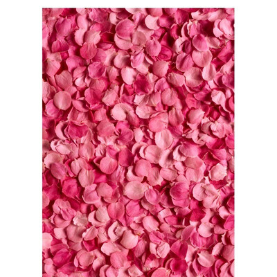 Red Flower Curtain Photo Backdrop 57FT Vinyl Fabric Cloth Digital Printing Photo Background s-965
Red Flower Curtain Photo Backdrop 57FT Vinyl Fabric Cloth Digital Printing Photo Background s-965