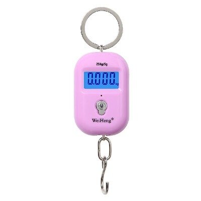 WeiHeng Mini Luggage Scale Portable Electronic Scale Digital Fish Scale with Zero Tracking Function 25kg Doublerange Scale Digital
WeiHeng Mini Luggage Scale Portable Electronic Scale Digital Fish Scale with Zero Tracking Function 25kg Doublerange Scale Digital