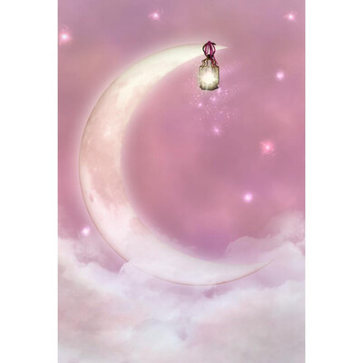 New Moon Lantern Photo Background 57FT Vinyl Fabric Cloth Digital Printing Backdrop Curtain -3134
New Moon Lantern Photo Background 57FT Vinyl Fabric Cloth Digital Printing Backdrop Curtain -3134