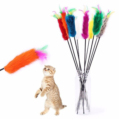 Cntomlv Pet cat Interactive toy Cute Design Bell&bird Feather Teaser Wand Plastic Toy for cats Color Multi Products For pet
Cntomlv Pet cat Interactive toy Cute Design Bell&bird Feather Teaser Wand Plastic Toy for cats Color Multi Products For pet