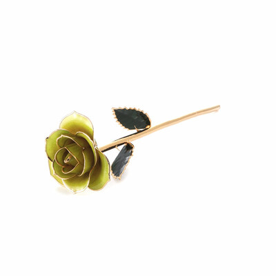 Fruit green rose Gold Rose Love Forever Long Stem Dipped 24k Rose Foil Trim Gifts for Her Green
Fruit green rose Gold Rose Love Forever Long Stem Dipped 24k Rose Foil Trim Gifts for Her Green