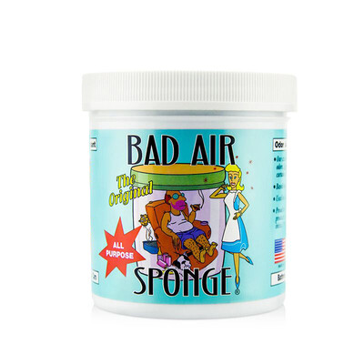 Bad Air Sponge American Air Purifier 400g In addition to odor purification decoration pollution new home new car office essential
Bad Air Sponge American Air Purifier 400g In addition to odor purification decoration pollution new home new car office essential