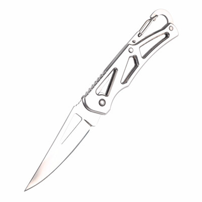 CHACHEKA 3cr13 Stainless Steel Folding Knife Portable Keychain Picnic Camping Jackknife Fruit Knives Girl Survival Tools
CHACHEKA 3cr13 Stainless Steel Folding Knife Portable Keychain Picnic Camping Jackknife Fruit Knives Girl Survival Tools