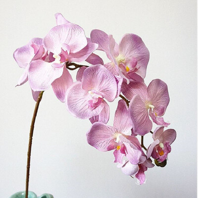 2pcs 11Heads large Orchid Artificial Flowers Moth Butterfly Orchids Home Wedding Decoration fleurs artificielles deco anniversaire
2pcs 11Heads large Orchid Artificial Flowers Moth Butterfly Orchids Home Wedding Decoration fleurs artificielles deco anniversaire