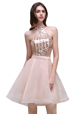 2018 Elegant Cheap Sequins A-Line Mini Cocktail Party Dress Pink Short Halter Organza Sexy Backless Homecoming Ball Gowns Dress
2018 Elegant Cheap Sequins A-Line Mini Cocktail Party Dress Pink Short Halter Organza Sexy Backless Homecoming Ball Gowns Dress
