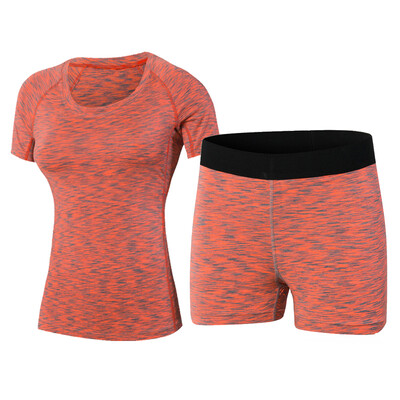 Yoga Set Running Sportswear Compression Shorts Tights Female T-Shirt Sport Suit 
Yoga Set Running Sportswear Compression Shorts Tights Female T-Shirt Sport Suit