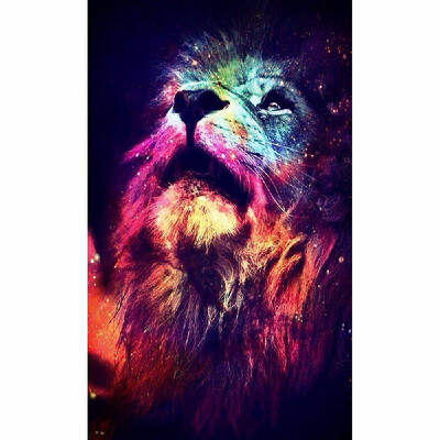 5D DIY Colorful Lion Diamond Painting Kit Arts Crafts Embroidery Cross Stitch Rhinestone Decoration Canvas Wall Home Office Decor
5D DIY Colorful Lion Diamond Painting Kit Arts Crafts Embroidery Cross Stitch Rhinestone Decoration Canvas Wall Home Office Decor