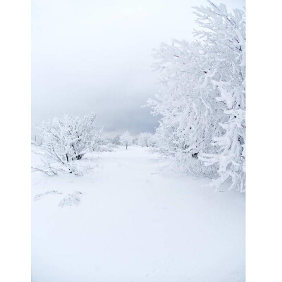 Xmas Snow Photo Backdrop 57FT Vinyl Fabric Cloth Digital Printing Photo Background st-586
Xmas Snow Photo Backdrop 57FT Vinyl Fabric Cloth Digital Printing Photo Background st-586