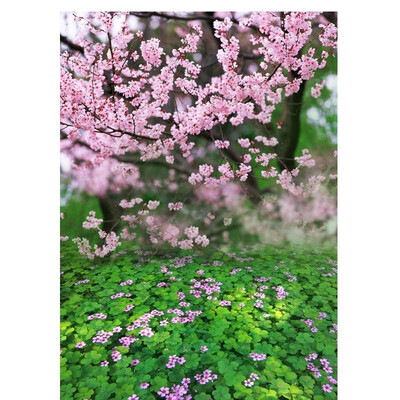 Apricot Flower Photo Backdrop 57FT Vinyl Fabric Cloth Digital Printing Photo Background s-994
Apricot Flower Photo Backdrop 57FT Vinyl Fabric Cloth Digital Printing Photo Background s-994